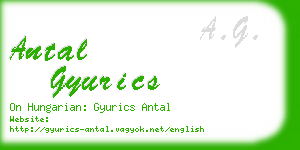 antal gyurics business card
